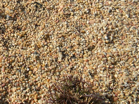 Salmon Bay Pebbles 3/8" Visalia - 93291